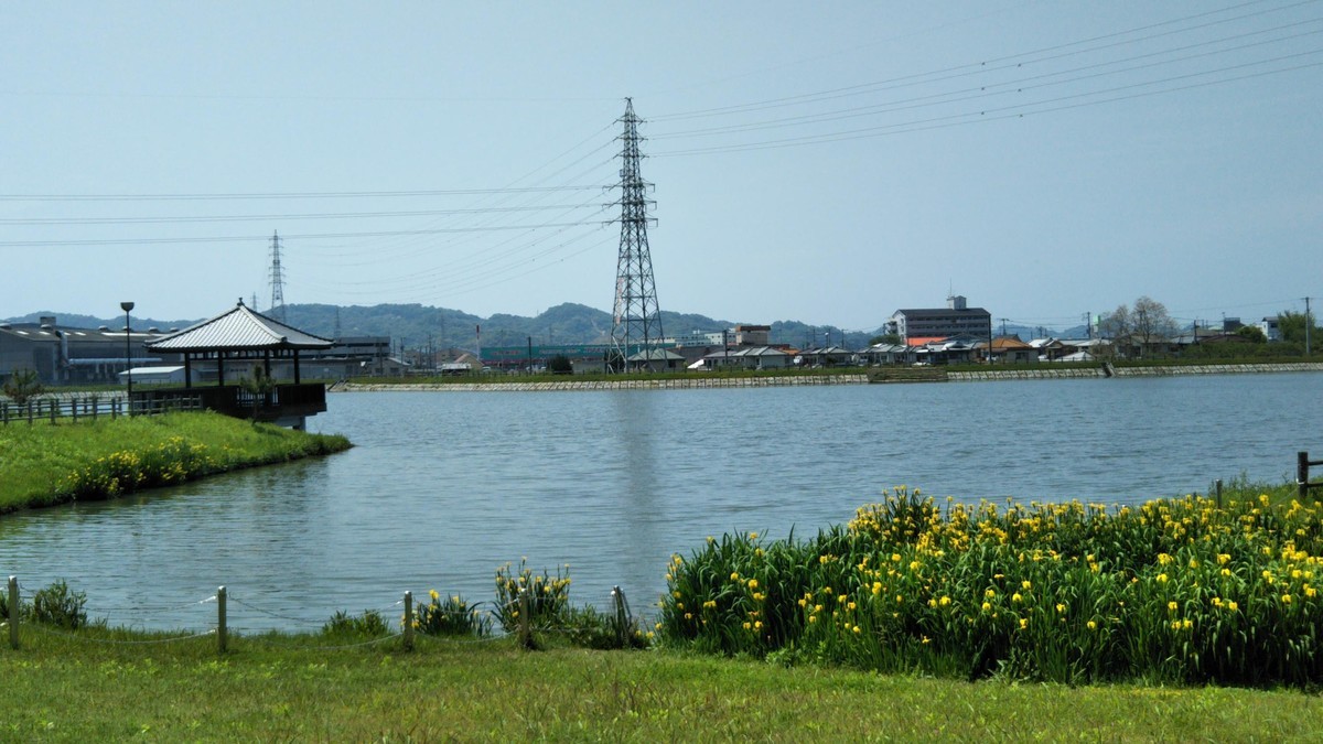 f:id:nvs:20190507234619j:plain f:id:nvs:20190507234619j:plain