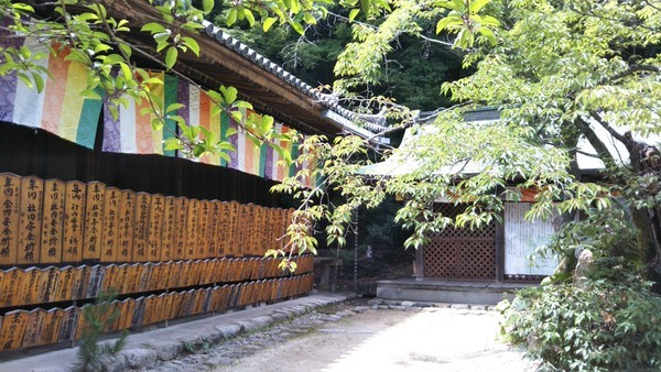 f:id:nvs:20190630234146j:plain f:id:nvs:20190630234146j:plain
