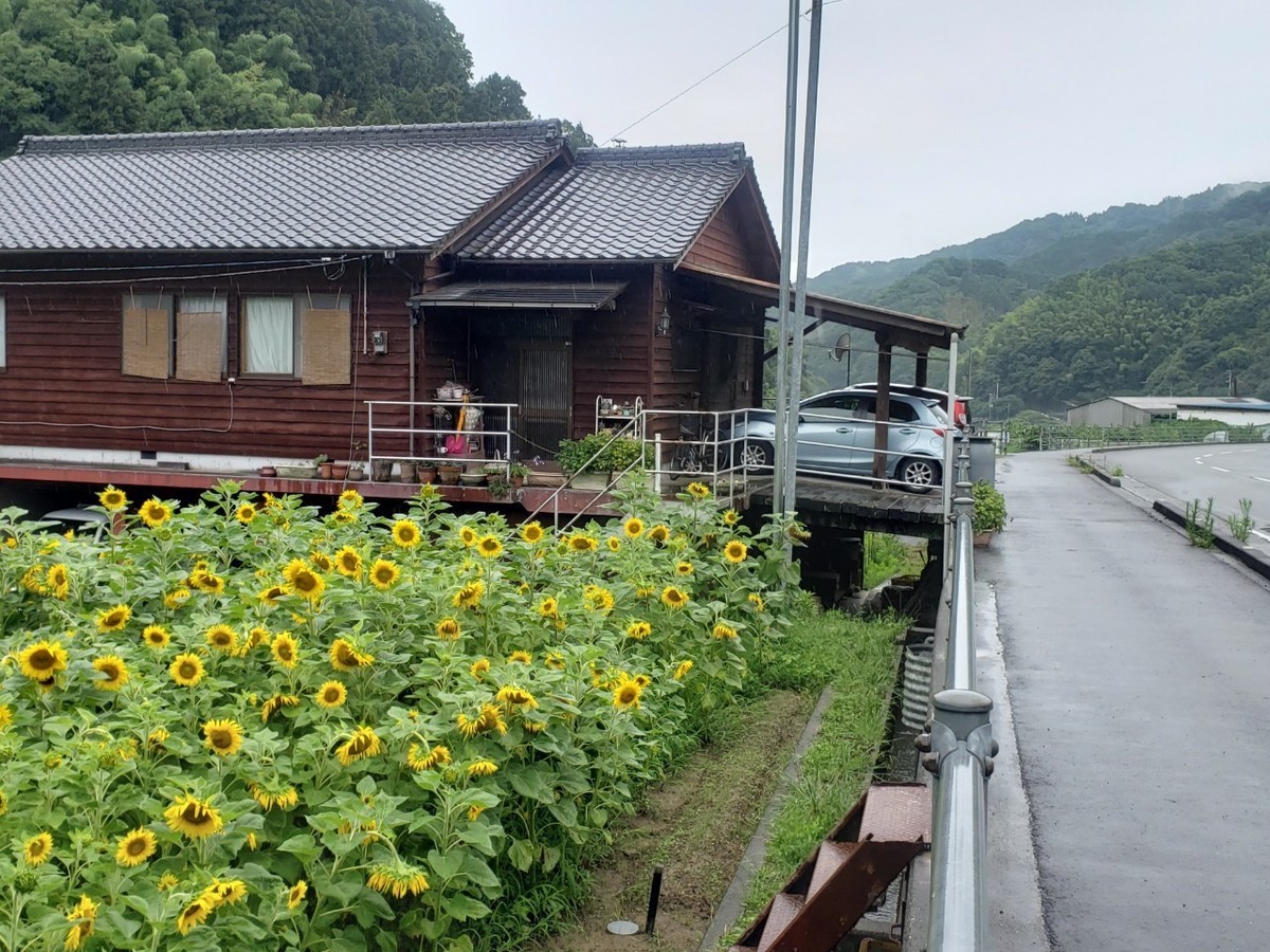f:id:nvs:20190716162009j:plain f:id:nvs:20190716162009j:plain