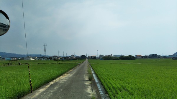 f:id:nvs:20190728105345j:plain f:id:nvs:20190728105345j:plain