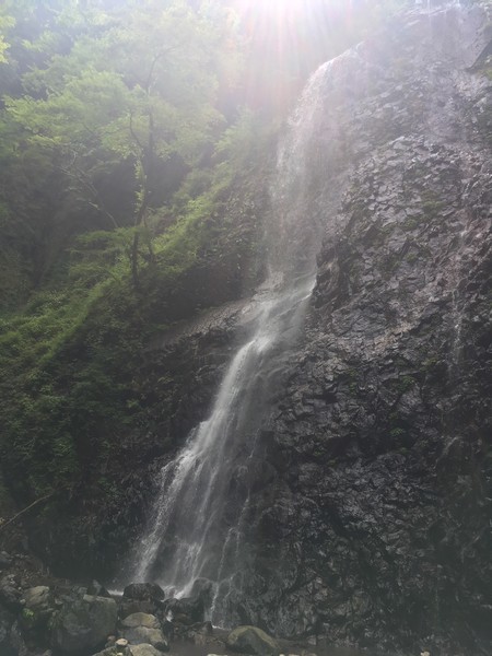 f:id:nvs:20190806075612j:plain f:id:nvs:20190806075612j:plain