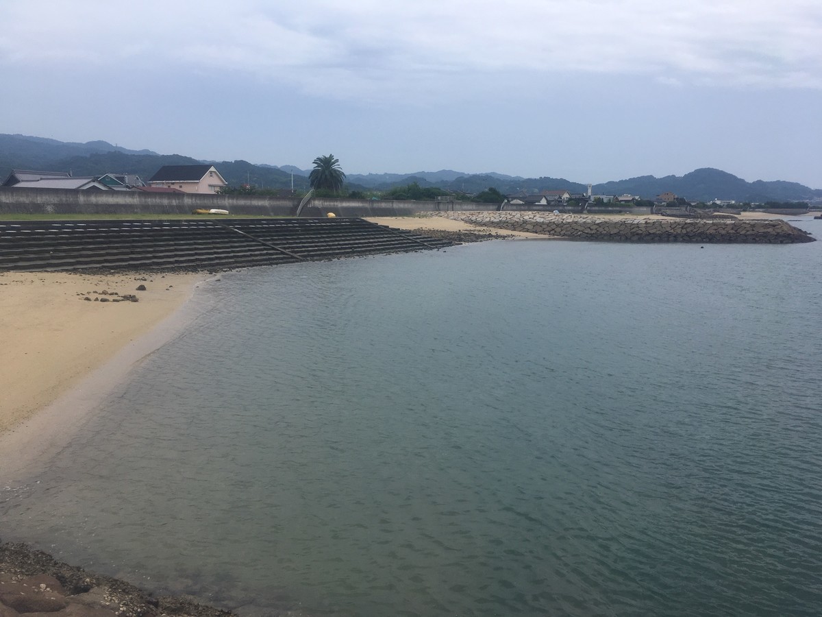 f:id:nvs:20190831190010j:plain f:id:nvs:20190831190010j:plain