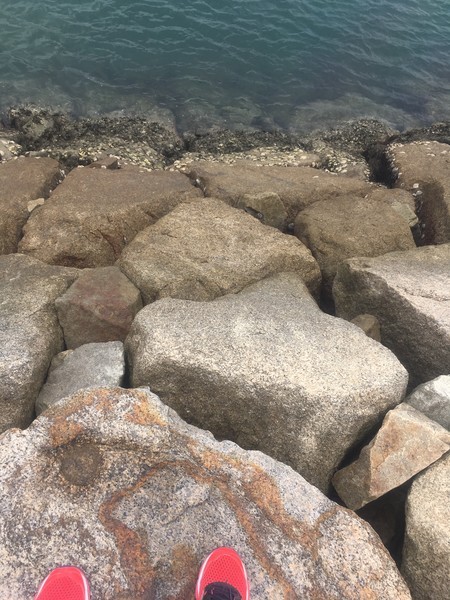 f:id:nvs:20190831190715j:plain f:id:nvs:20190831190715j:plain
