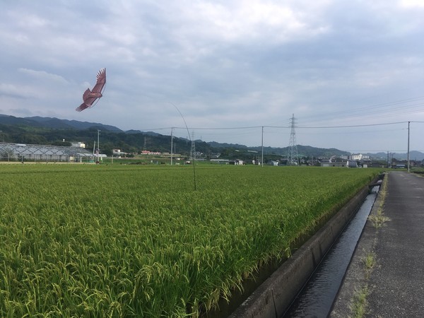 f:id:nvs:20190831190828j:plain f:id:nvs:20190831190828j:plain