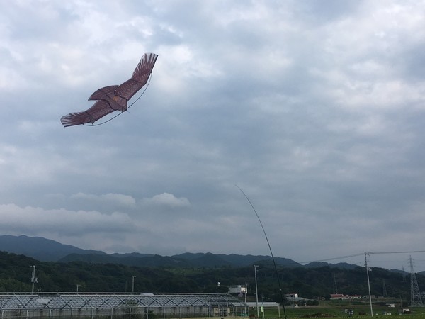 f:id:nvs:20190831190839j:plain f:id:nvs:20190831190839j:plain