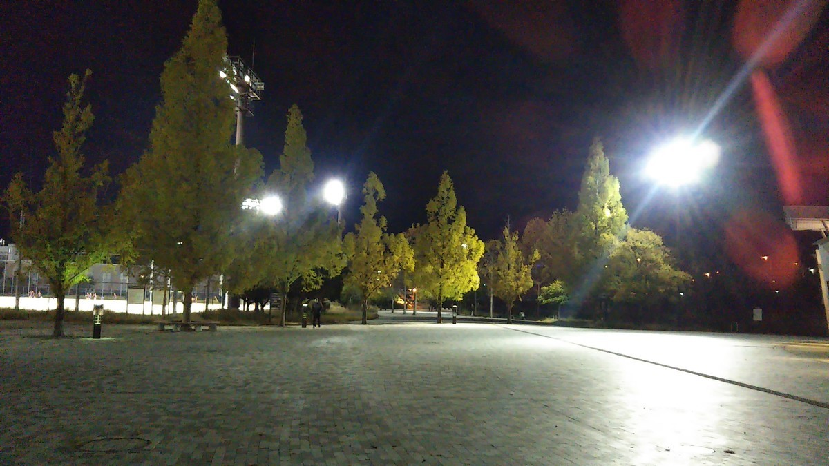 f:id:nvs:20191121162218j:plain f:id:nvs:20191121162218j:plain
