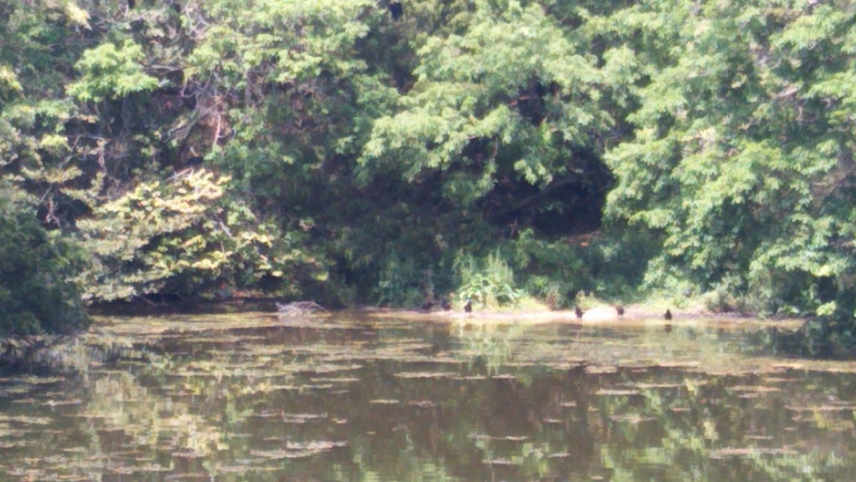f:id:nvs:20200507234543j:plain