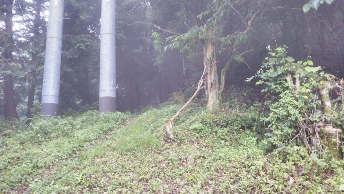 f:id:nvs:20200721151206j:plain
