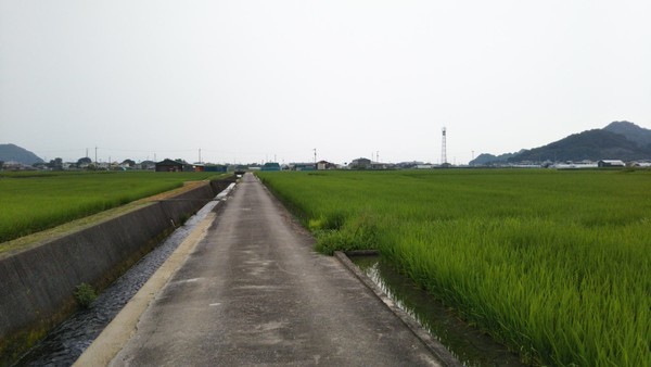 f:id:nvs:20200816123457j:plain f:id:nvs:20200816123457j:plain