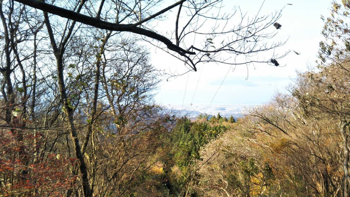 f:id:nvs:20201130225338j:plain