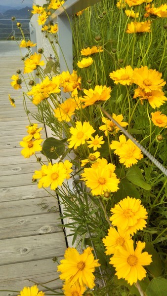 f:id:nvs:20210524194348j:plain
