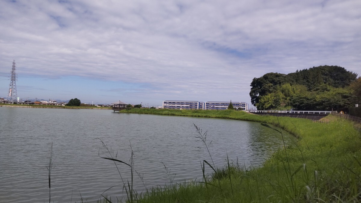 新池