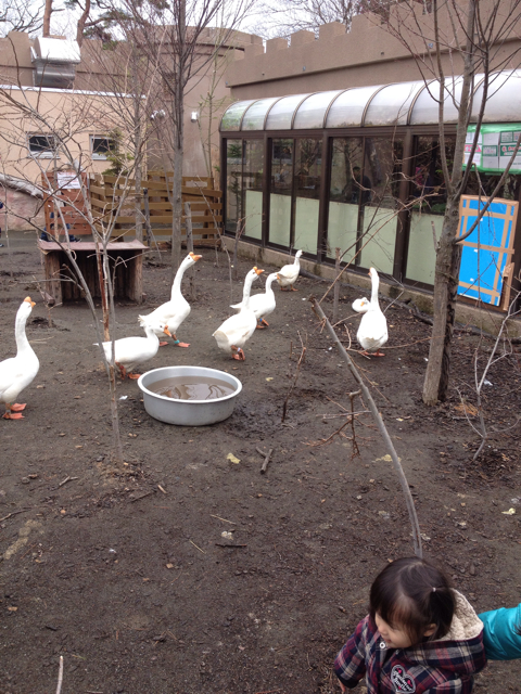f:id:nvtomo:20130505190444j:plain f:id:nvtomo:20130505190444j:plain