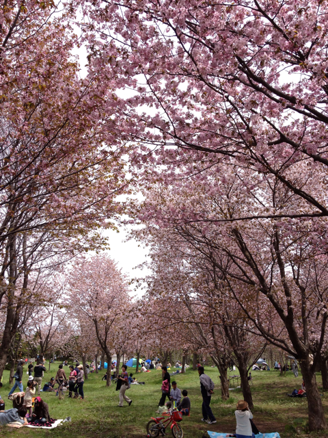 f:id:nvtomo:20130519174814j:plain f:id:nvtomo:20130519174814j:plain