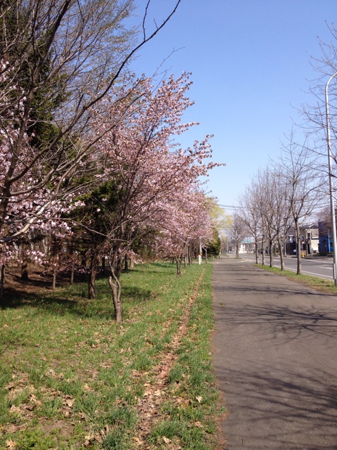 f:id:nvtomo:20140505221944j:plain f:id:nvtomo:20140505221944j:plain