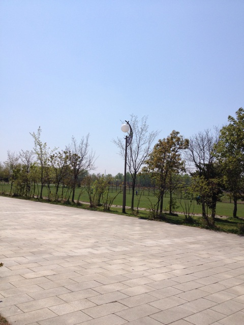 f:id:nvtomo:20140511073629j:plain f:id:nvtomo:20140511073629j:plain