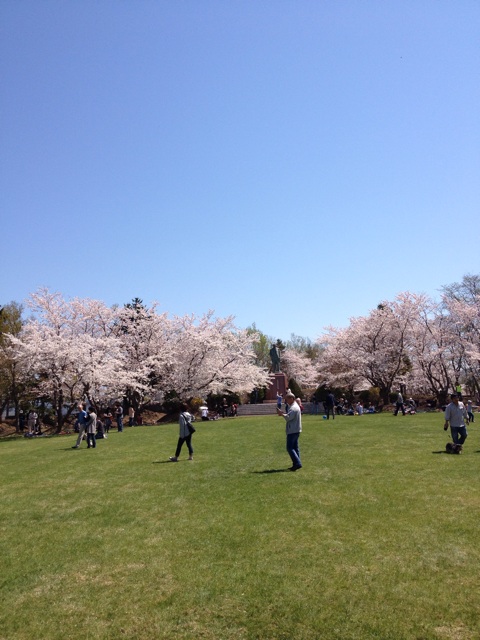 f:id:nvtomo:20140511204452j:plain f:id:nvtomo:20140511204452j:plain
