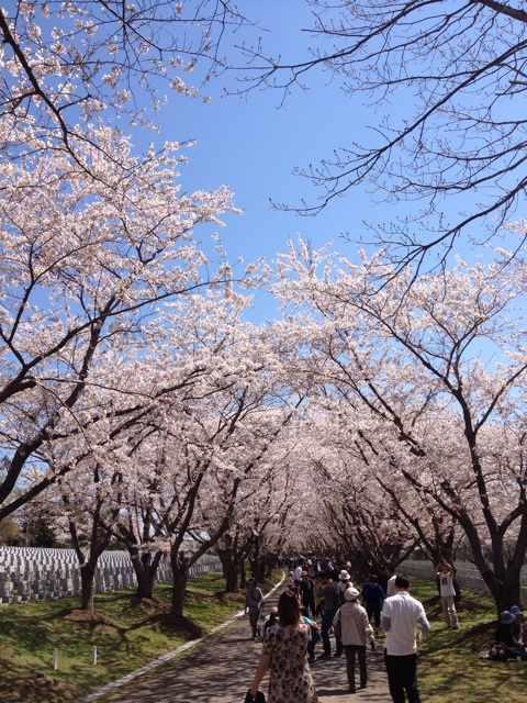 f:id:nvtomo:20140511204626j:plain f:id:nvtomo:20140511204626j:plain