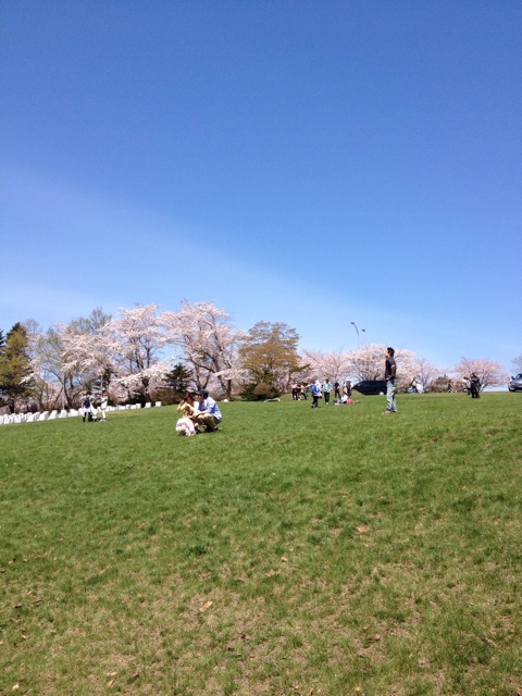 f:id:nvtomo:20140511204650j:plain f:id:nvtomo:20140511204650j:plain