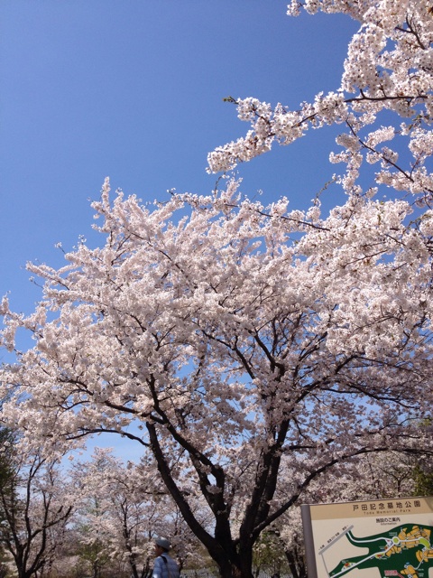 f:id:nvtomo:20140511204751j:plain f:id:nvtomo:20140511204751j:plain