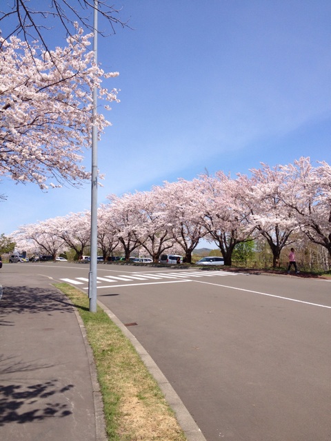 f:id:nvtomo:20140511204809j:plain f:id:nvtomo:20140511204809j:plain