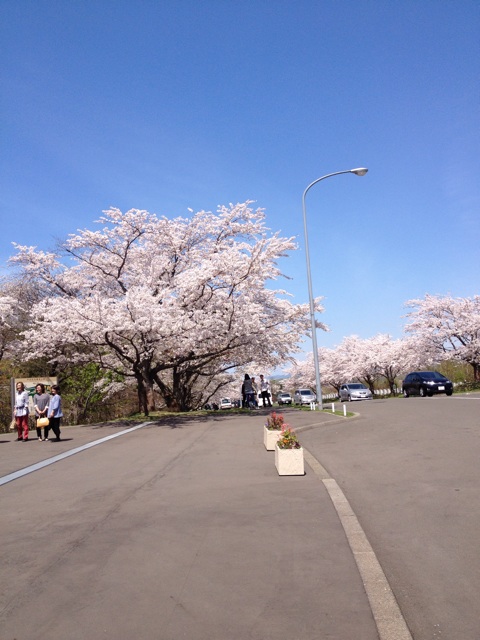 f:id:nvtomo:20140511204832j:plain f:id:nvtomo:20140511204832j:plain