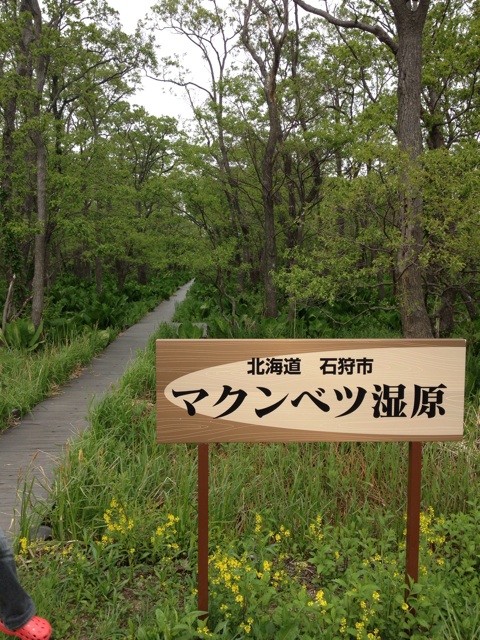 f:id:nvtomo:20140525231734j:plain f:id:nvtomo:20140525231734j:plain