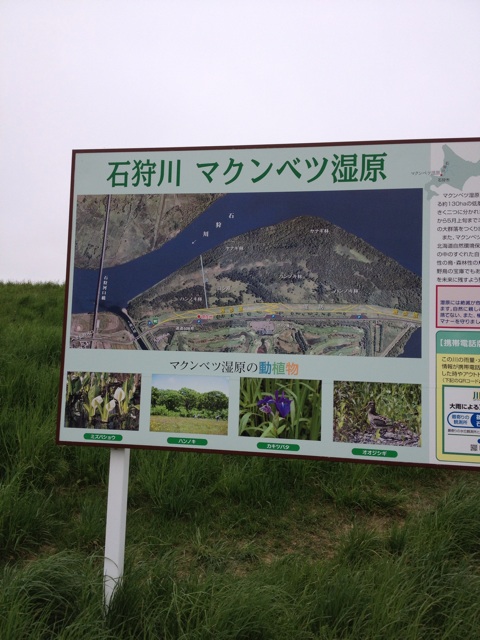 f:id:nvtomo:20140525231753j:plain f:id:nvtomo:20140525231753j:plain