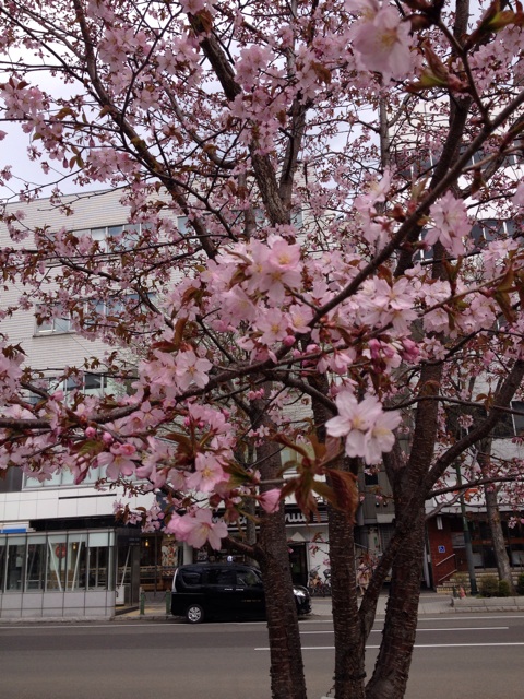 f:id:nvtomo:20150427073103j:plain f:id:nvtomo:20150427073103j:plain