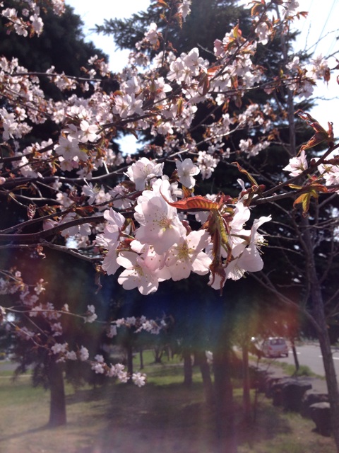 f:id:nvtomo:20150427073204j:plain f:id:nvtomo:20150427073204j:plain