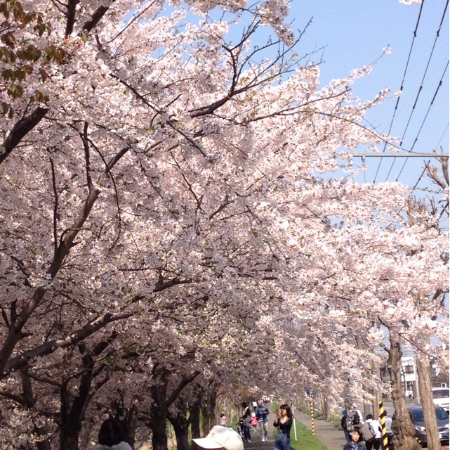 f:id:nvtomo:20150430205405j:plain f:id:nvtomo:20150430205405j:plain