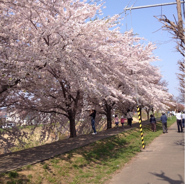 f:id:nvtomo:20150430205422j:plain f:id:nvtomo:20150430205422j:plain