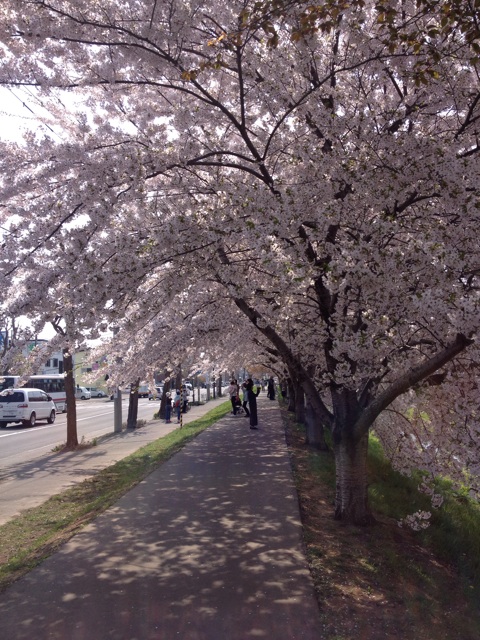 f:id:nvtomo:20150430205442j:plain f:id:nvtomo:20150430205442j:plain