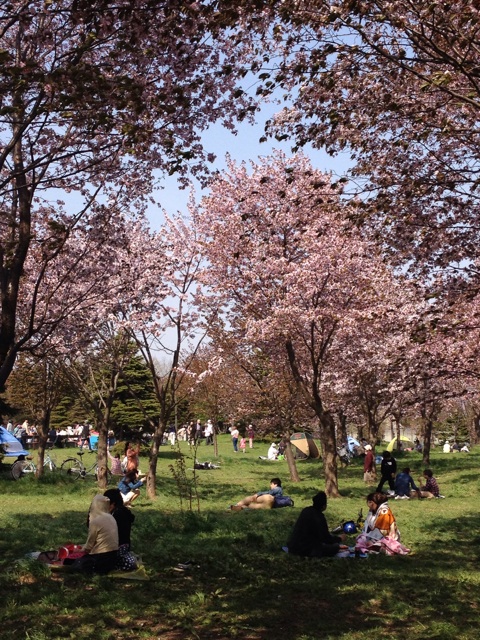 f:id:nvtomo:20150503112315j:plain f:id:nvtomo:20150503112315j:plain