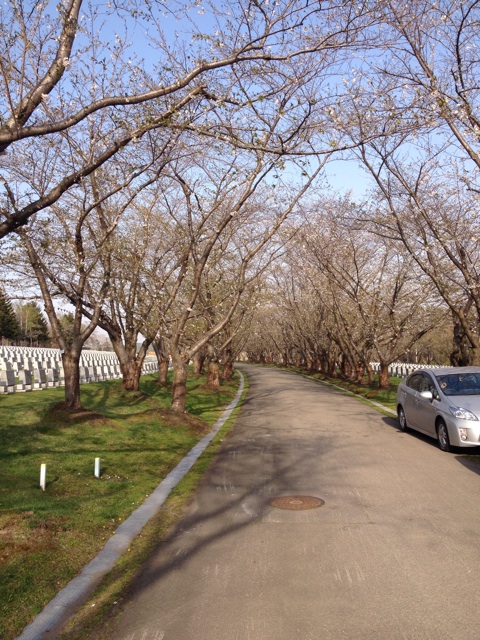 f:id:nvtomo:20150503112422j:plain f:id:nvtomo:20150503112422j:plain