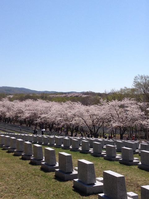 f:id:nvtomo:20150503112547j:plain f:id:nvtomo:20150503112547j:plain