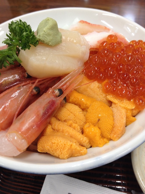 f:id:nvtomo:20150718205610j:plain f:id:nvtomo:20150718205610j:plain