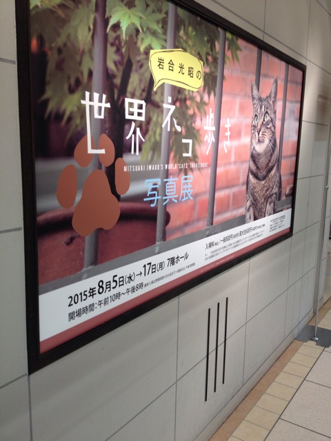 f:id:nvtomo:20150812174140j:plain f:id:nvtomo:20150812174140j:plain