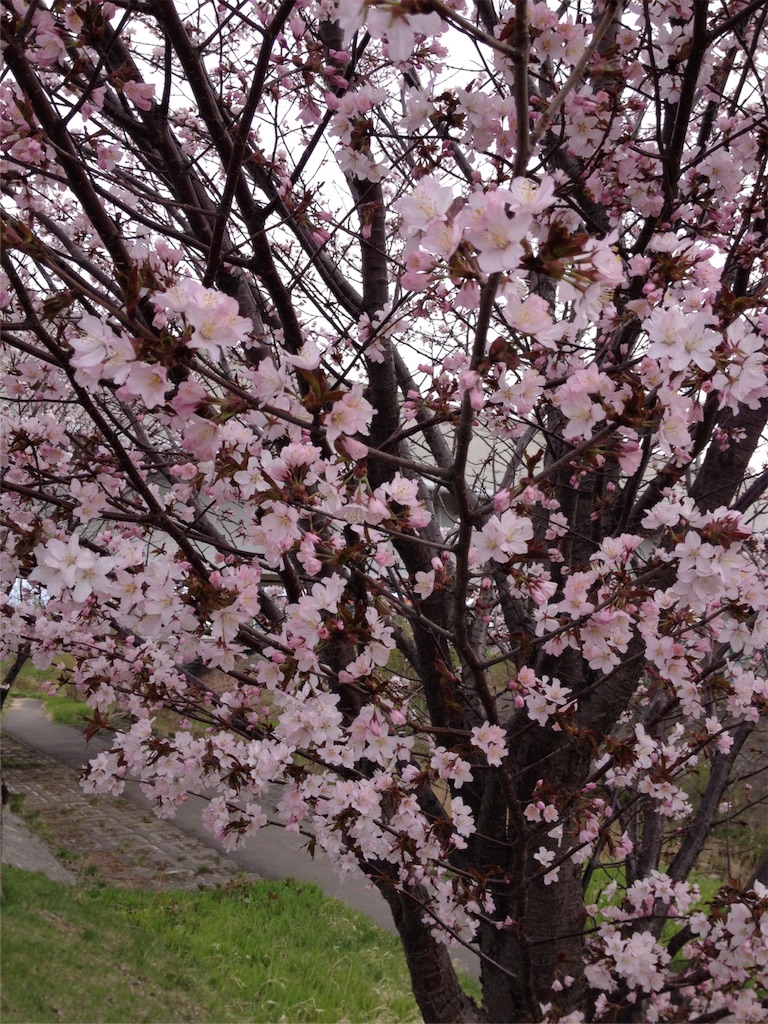 f:id:nvtomo:20160428151521j:image f:id:nvtomo:20160428151521j:image