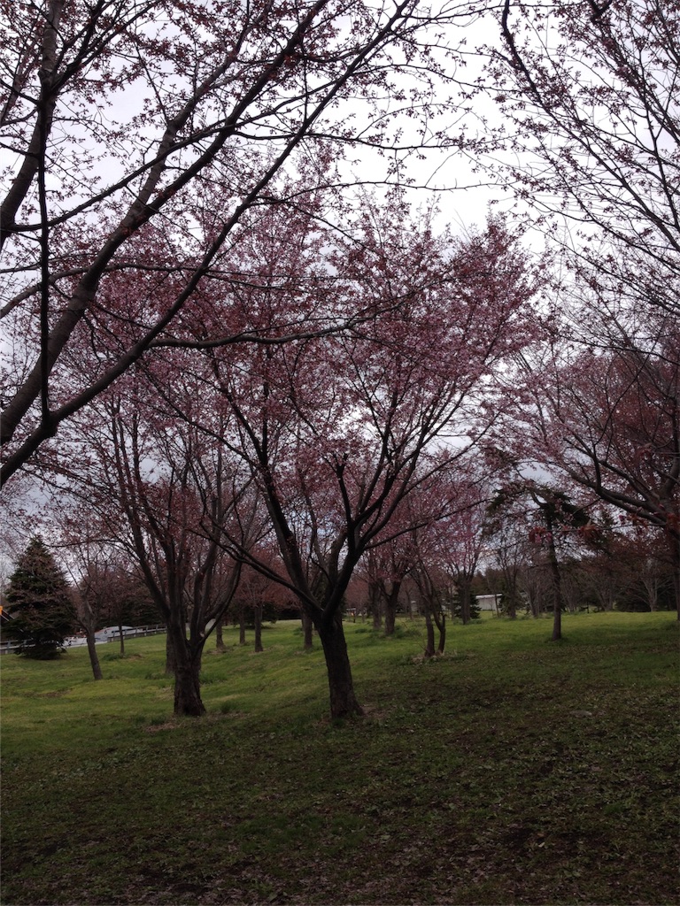f:id:nvtomo:20160430123546j:image f:id:nvtomo:20160430123546j:image