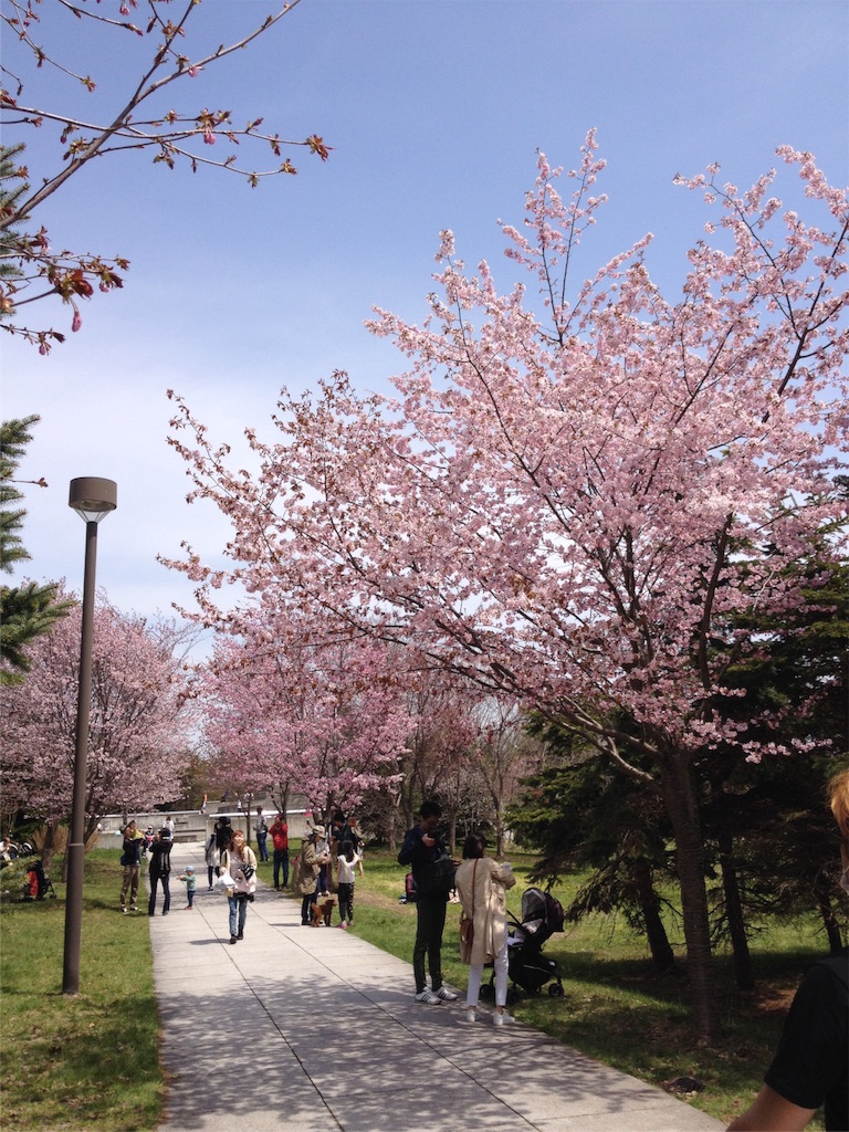 f:id:nvtomo:20160503222956j:image f:id:nvtomo:20160503222956j:image