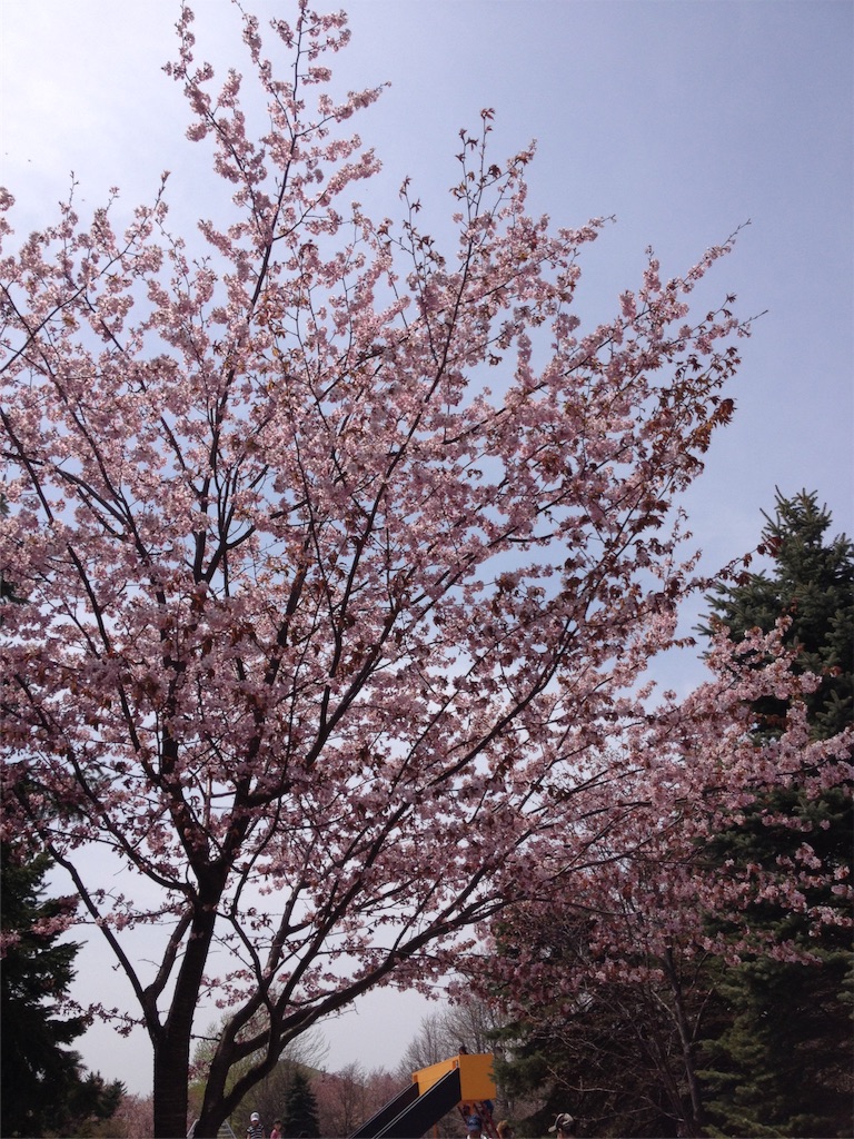 f:id:nvtomo:20160503223014j:image f:id:nvtomo:20160503223014j:image