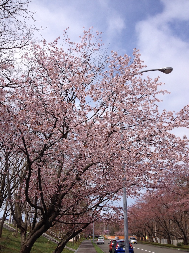 f:id:nvtomo:20160506161220j:image f:id:nvtomo:20160506161220j:image