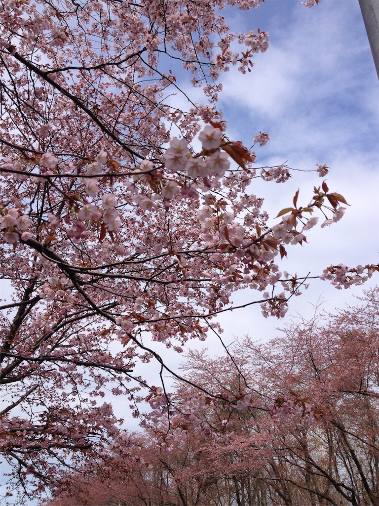 f:id:nvtomo:20160506161251j:image f:id:nvtomo:20160506161251j:image