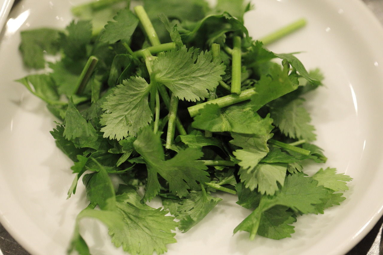 f:id:nwashy:20190827193034j:plain