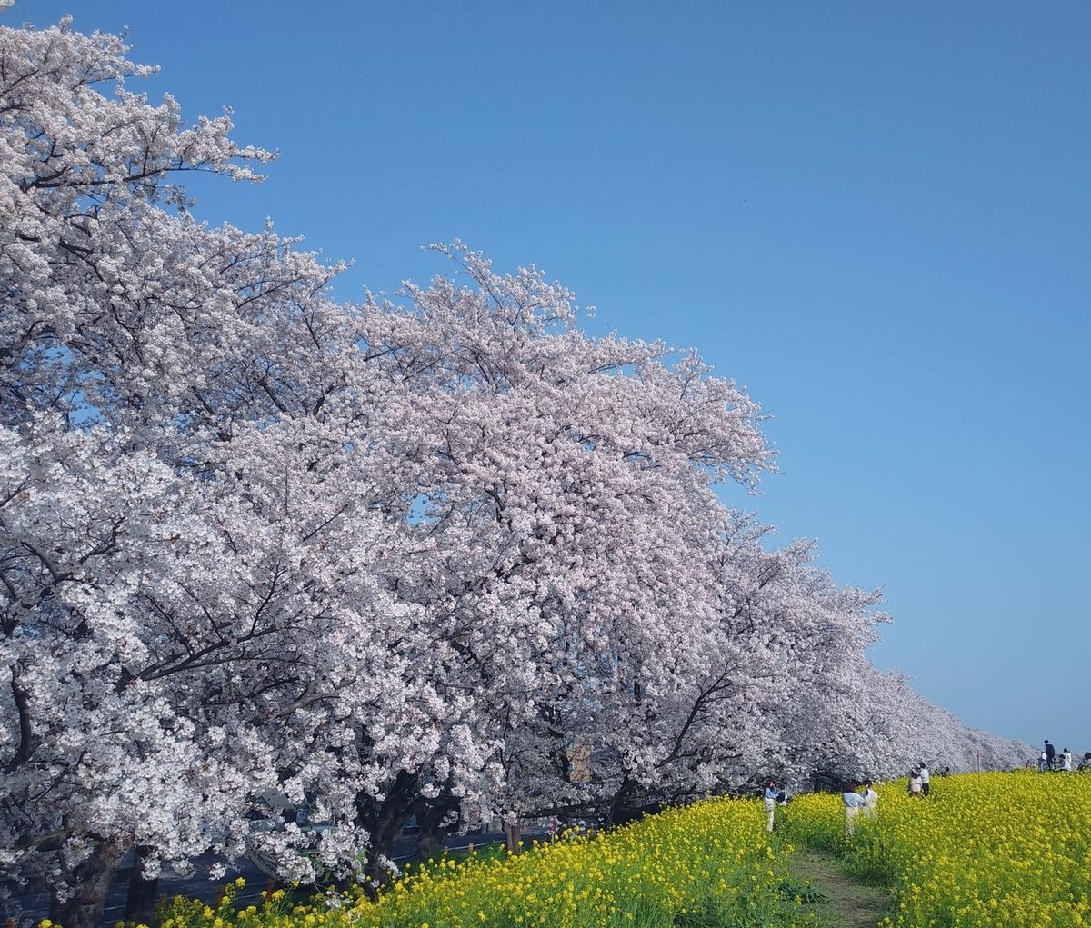 Women's information center letter 92 March 2021 The official blog of