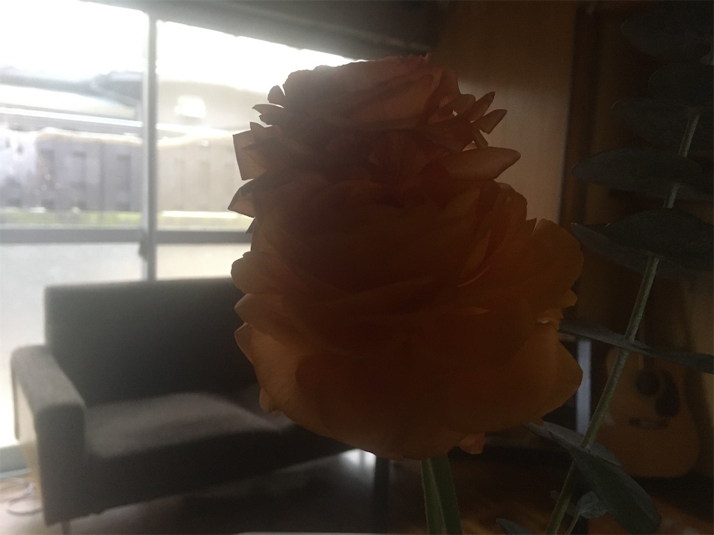 f:id:nxk4872:20210123160323j:image