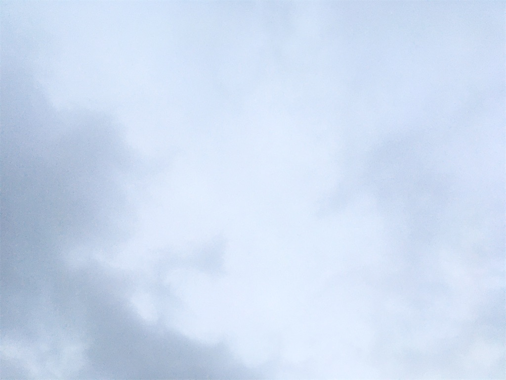 f:id:nxk4872:20210123160327j:image
