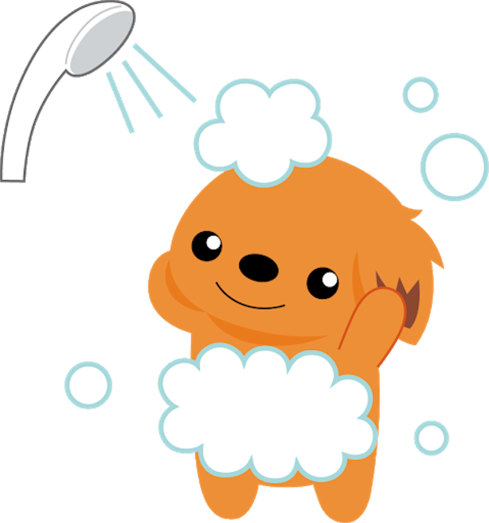 f:id:ny0712bbg:20200221151807p:image f:id:ny0712bbg:20200221151807p:image