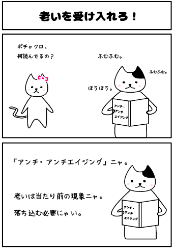 f:id:nya-nya-san:20170815143316p:plain
